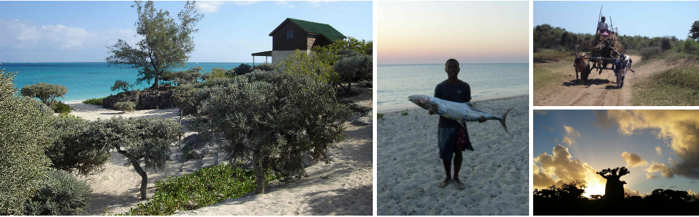 Shangri-la Lodge | Ambatomilo | Madagascar